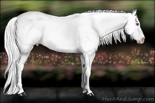 Horse Color:Brown Chinchilla Roan Snowflake Varnish 