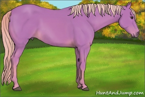Horse Color:Watercolor Chestnut 