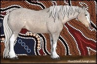 Horse Color:White Spotted Silver Buckskin Appaloosa Rabicano