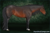 Horse Color:Brown 