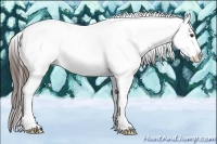 Horse Color:Liver Red Dun Roan Varnish