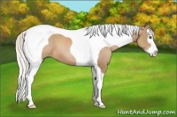 Horse Color:Silver Black Pearl Splash Tobiano 
