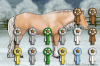 Horse Color:Silver Bay Pearl Sabino Tobiano