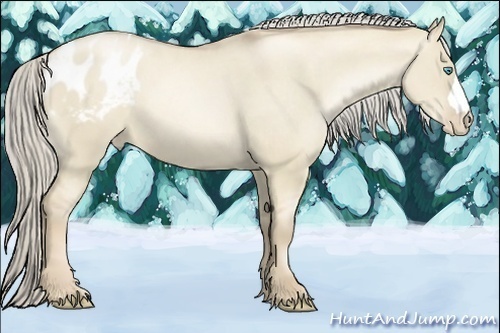 Horse Color:Chocolate Palomino Pearl Dun Appaloosa 