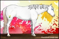Horse Color:White Spotted Grullo Splash Blanket 