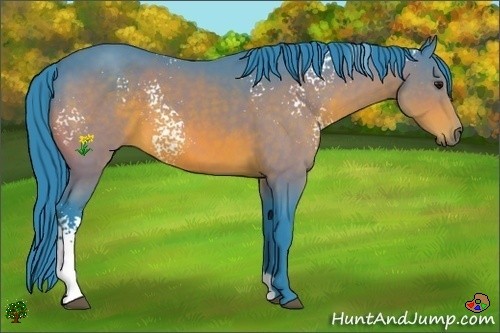 Horse Color:Watercolor White Spotted Bay 