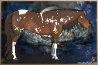 Horse Color:White Spotted Liver Chestnut Tobiano 