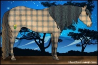Horse Color:Plaid  Buckskin Roan 