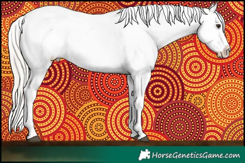 Horse Color:Liver Chestnut Mushroom Sabino Appaloosa 