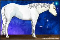 Horse Color:Gray Palomino Ice Dun Tobiano 