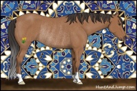 Horse Color:Buckskin Rabicano 