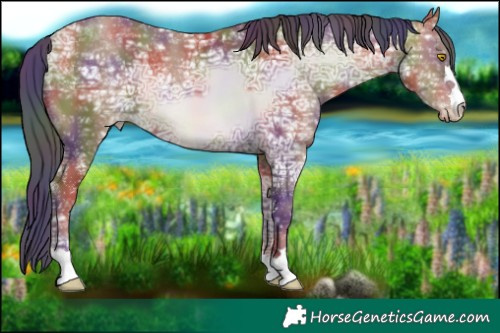 Horse Color:Nacre Sable Champagne Ice