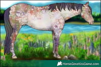 Horse Color:Nacre Sable Champagne Ice 