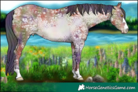 Horse Color:Nacre Sable Champagne Ice 