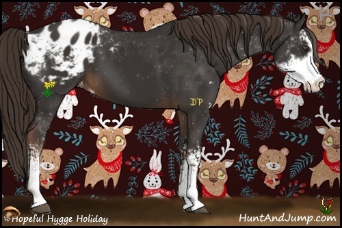 Horse Color:Liver Chestnut Sabino Appaloosa 