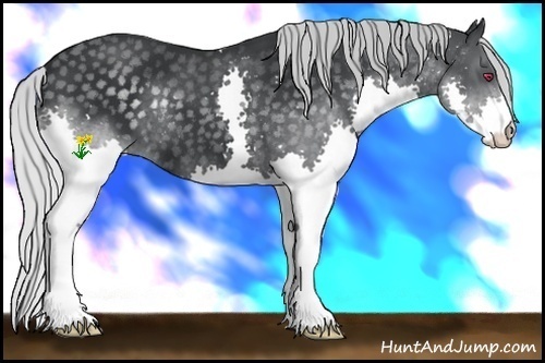 Horse Color:Silver Black Chinchilla Splash 