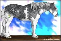 Horse Color:Silver Black Chinchilla Splash 