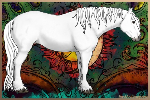 Horse Color:Gray Silver Grullo Ice 