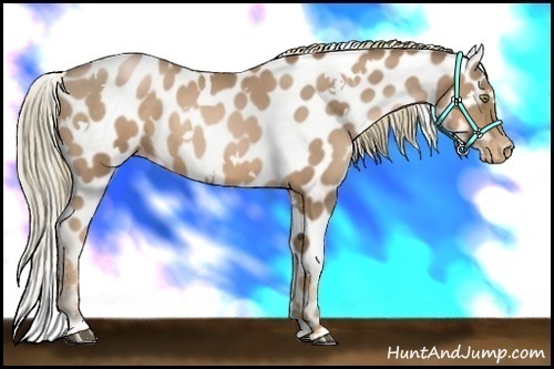 Horse Color:White Spotted Liver Chestnut Pearl Varnish 