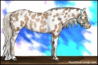 Horse Color:White Spotted Liver Chestnut Pearl Varnish 