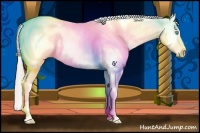 Horse Color:White Spotted Chocolate Palomino Pearl Dun Varnish