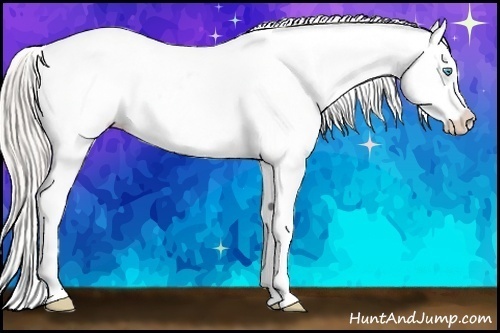Horse Color:White Spotted Gold Cream Champagne Pearl Appaloosa 