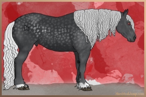 Horse Color:Silver Black Chinchilla 