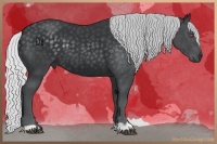 Horse Color:Silver Black Chinchilla 