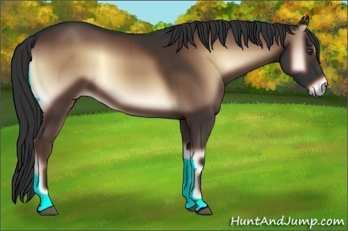 Horse Color:Liver Red Onyx 