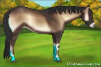 Horse Color:Liver Red Onyx