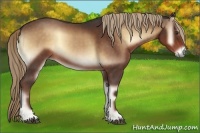 Horse Color:Liver Red Onyx Sabino