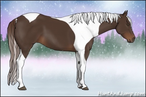 Horse Color:Liver Chestnut Tobiano Frame 