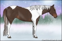 Horse Color:Liver Chestnut Tobiano Frame 