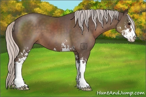 Horse Color:Silver Black Sabino 