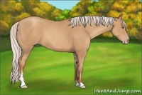 Horse Color:Silver Classic Champagne Sabino