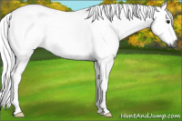 Horse Color:Gray Silver Black 
