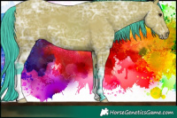 Horse Color:Watercolor Bay Ice 
