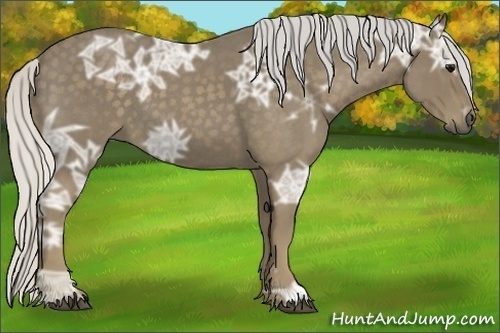 Horse Color:Silver Smoky Blue Ice Roan 