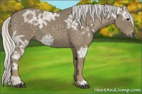 Horse Color:Silver Smoky Blue Ice Roan 