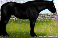 Horse Color:Gray Red Roan