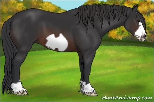 Horse Color:Brown Frame 