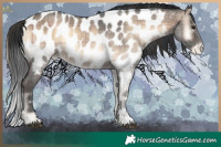 Horse Color:Plaid Bay Roan Onyx Sabino Appaloosa