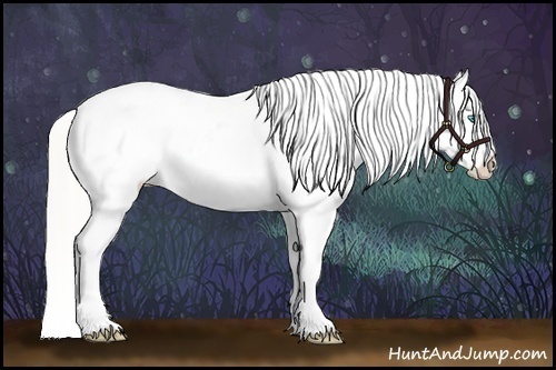 Horse Color:Palomino Pearl Mushroom Sabino Blanket Rabicano