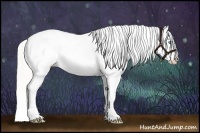 Horse Color:Palomino Pearl Mushroom Sabino Blanket Rabicano