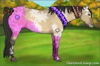 Horse Color:Buckskin Ice Dun 