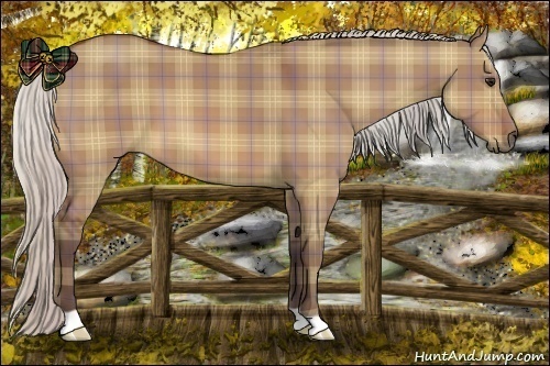 Horse Color:Plaid  Silver Bay Dun 