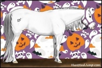 Horse Color:White Spotted Bay Ice 