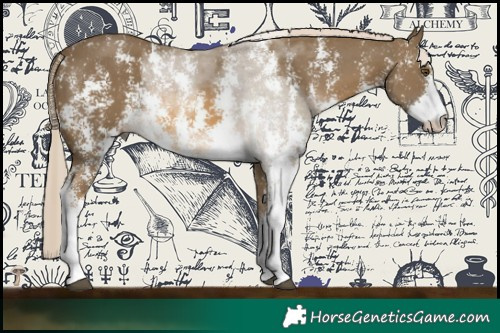 Horse Color:Chocolate Palomino Mushroom Sabino