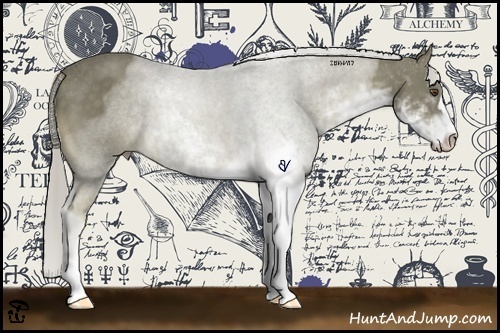 Horse Color:Chocolate Palomino Sabino 