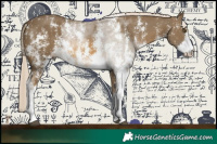 Horse Color:Chocolate Palomino Mushroom Sabino